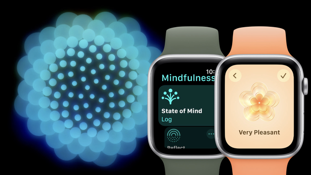 apple watch se 2 mindfulness app